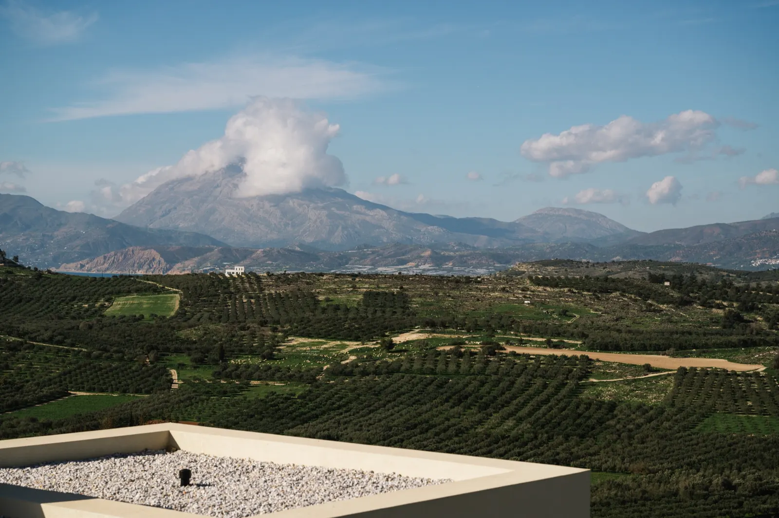 View from the roof across olive groves of the Messara Valley toward the Psiloritis mountains